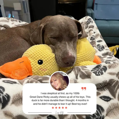 Quacker® Calming Duck Toy