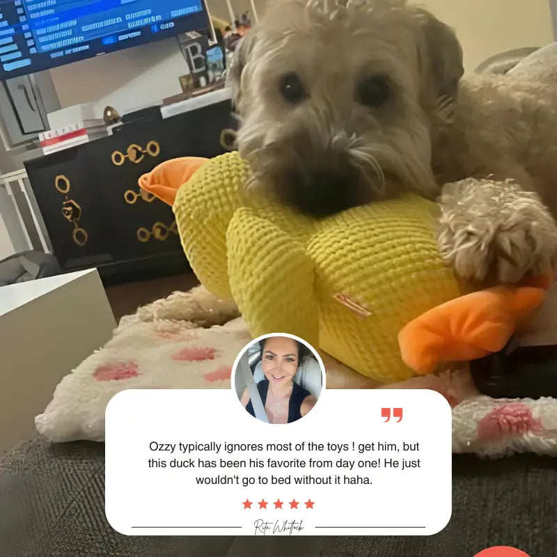 Quacker® Calming Duck Toy