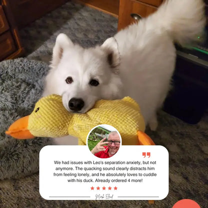 Quacker® Calming Duck Toy