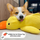 Quacker® Calming Duck Toy